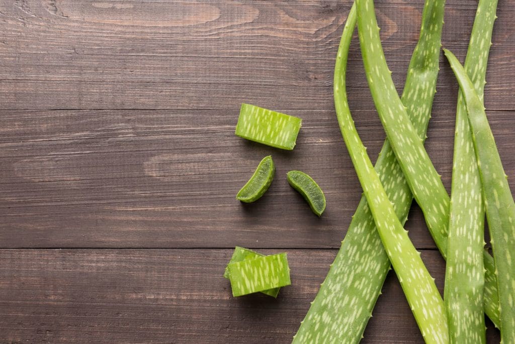 Aloe Vera Hair Loss
